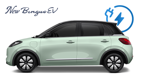Wuling New BinguoEV